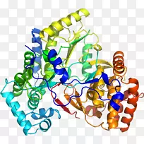 人体首饰有机体线剪贴画线-空若网 人体首饰有机体线剪贴画线-空若网