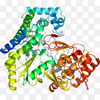 人体首饰有机体线剪贴画线-空若网 人体首饰有机体线剪贴画线-空若网