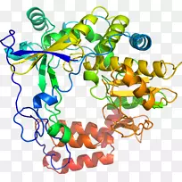 人体首饰有机体线剪贴画线-空若网 人体首饰有机体线剪贴画线-空若网