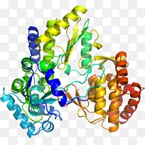 珠宝首饰剪贴画.珠宝-空若网 珠宝首饰剪贴画.珠宝-空若网