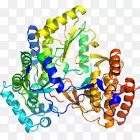 ���������鱦�л����߼�������-������