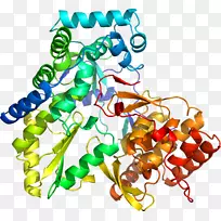 人体首饰有机体线剪贴画线-空若网 人体首饰有机体线剪贴画线-空若网