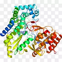 人体首饰有机体线剪贴画线-空若网 人体首饰有机体线剪贴画线-空若网