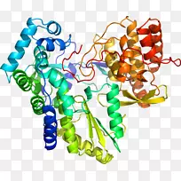 人体珠宝有机体剪贴画.珠宝-空若网 人体珠宝有机体剪贴画.珠宝-空若网