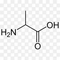 支链氨基酸膳食补充剂必需氨基酸-空若网 支链氨基酸膳食补充剂必需氨基酸-空若网