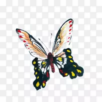 帝王蝶水墨画仙女-装饰性图案,昆虫-空若网 帝王蝶水墨画仙女-装饰性图案,昆虫-空若网