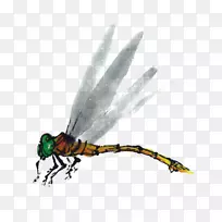 ����ˮ�ʻ�.װ��ͼ��������-������