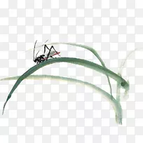 昆虫水墨画蝴蝶水彩画装饰图案昆虫-空若网 昆虫水墨画蝴蝶水彩画装饰图案昆虫-空若网