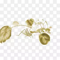 À¥³æË®Ä«»»»¨Äñ»ÔÚÃÙʳÀ¥³æ-¿ÕÈôÍø À¥³æË®Ä«»»»¨Äñ»ÔÚÃÙʳÀ¥³æ-¿ÕÈôÍø