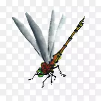 �������Ѵ���Ĥ.װ��ͼ��-������