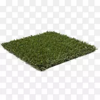 ��ש�ذ��ƺ�����ƺ��԰-������