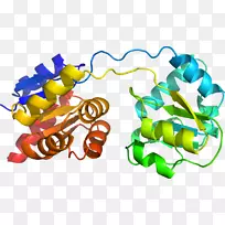 生物线动物剪贴画线-空若网 生物线动物剪贴画线-空若网