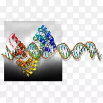 珠宝图案设计珠宝设计字体珠宝-空若网 珠宝图案设计珠宝设计字体珠宝-空若网