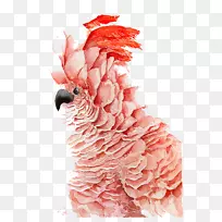 ÄñðÐðÄË®²Ê»-ºìðÐðÄ-¿ÕÈôÍø ÄñðÐðÄË®²Ê»-ºìðÐðÄ-¿ÕÈôÍø