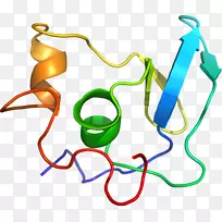 �ߵ������-��-������