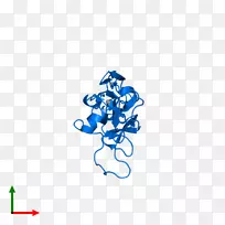 �̱��������-������