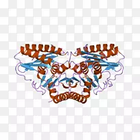 ����Ǳ�־������-������