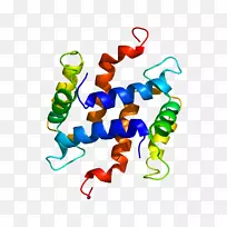 �����߶����������-������