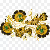 画棺材模板昆虫树-空若网 画棺材模板昆虫树-空若网