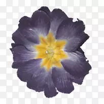 Poppelwood Trecenydd商业公园儿童电子邮件-空若网 Poppelwood Trecenydd商业公园儿童电子邮件-空若网