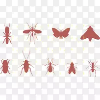 �ó浥ɫ�ó�-������