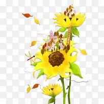 ��ͨ���տ�-������