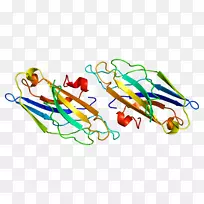 线点生物剪贴画线-空若网 线点生物剪贴画线-空若网