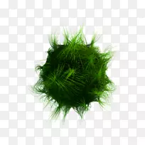 意大利面千层面煎蛋卷食谱-色拉-空若网 意大利面千层面煎蛋卷食谱-色拉-空若网