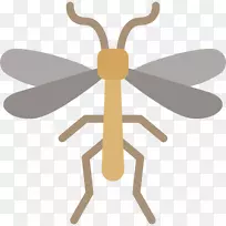 昆虫电脑图标剪贴画昆虫-空若网 昆虫电脑图标剪贴画昆虫-空若网
