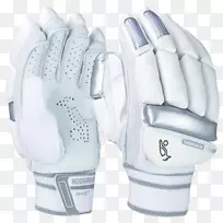 ���������׻������װ�����˹�ذ�����ֲ�-����-������