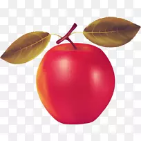苹果水果剪贴画-苹果-空若网 苹果水果剪贴画-苹果-空若网