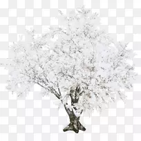 ѩ������-������