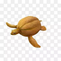 香瓜花蜜猕猴桃蔬菜雕刻龟猕猴桃-空若网 香瓜花蜜猕猴桃蔬菜雕刻龟猕猴桃-空若网