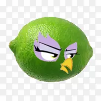 猕猴桃-空若网 猕猴桃-空若网