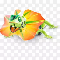 折颈蜥蜴变色龙机器人颈缘蜥蜴-空若网 折颈蜥蜴变色龙机器人颈缘蜥蜴-空若网