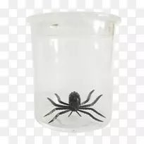 ������CTICѧϰ�̵�չʾ-������