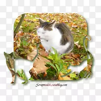 �������-������