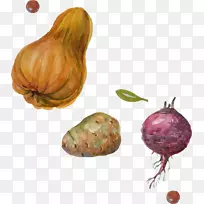 葱南瓜蔬菜-PNG洋葱马铃薯南瓜载体元素-空若网 葱南瓜蔬菜-PNG洋葱马铃薯南瓜载体元素-空若网