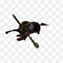 ����ǲ�-������