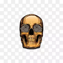 平面设计动画插图.金色头骨-空若网 平面设计动画插图.金色头骨-空若网