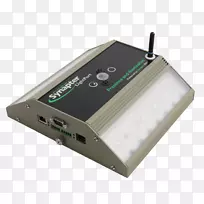 电子-鼠尾草-空若网 电子-鼠尾草-空若网