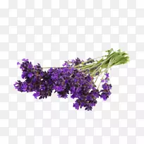 Ӣ��޹�²ݻ�����Ӱ-��-������