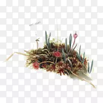 �ݿ�-������