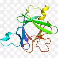 植物茎体珠宝线剪贴画线-空若网 植物茎体珠宝线剪贴画线-空若网