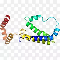 人体首饰有机体线剪贴画线-空若网 人体首饰有机体线剪贴画线-空若网