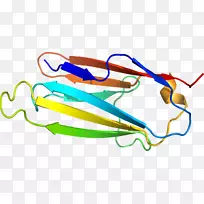 线点剪贴画-线-空若网 线点剪贴画-线-空若网