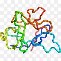 人体首饰有机体线剪贴画线-空若网 人体首饰有机体线剪贴画线-空若网
