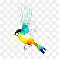 水彩画水彩画-空若网 水彩画水彩画-空若网