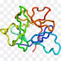 ���������л����߼�������-������