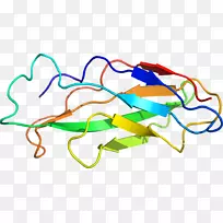 �ߵ������-��-������